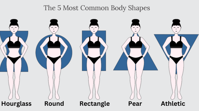 female body shape - factacholic
